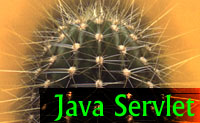 I Servlet