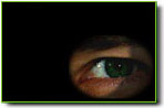 HTTP Spy