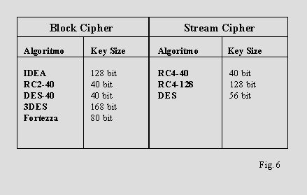 Figura 6