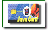 Java Card ed Embedded System