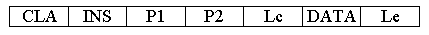 Figura 1 - APDU di comando