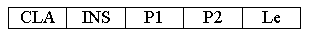 Figura 5 - APDU di comando di tipo 2
