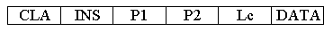 Figura 6 - APDU di comando di tipo 3