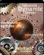 Figura 1 - Architettura Informix Dynamic Server