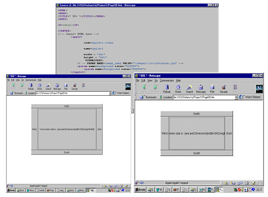 Figura 7 - Applet con dimensioni relative al 50%