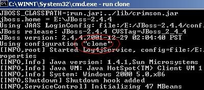 Figura 2 - Startup dell'istanza clone