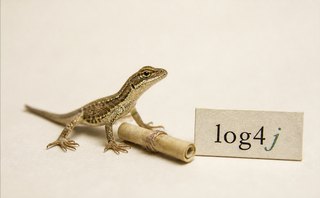 Log di applicazioni J2EE: Il framework Jakarta log4j