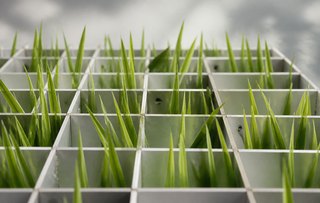 Spring: V parte: Web MVC