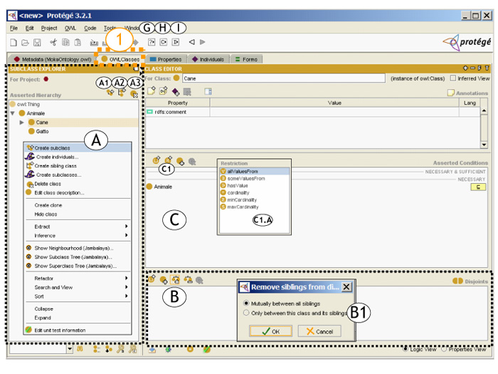 Figura 7 - Protégé OWL Class Panel