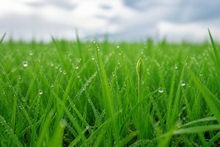 Spring Framework 2.5