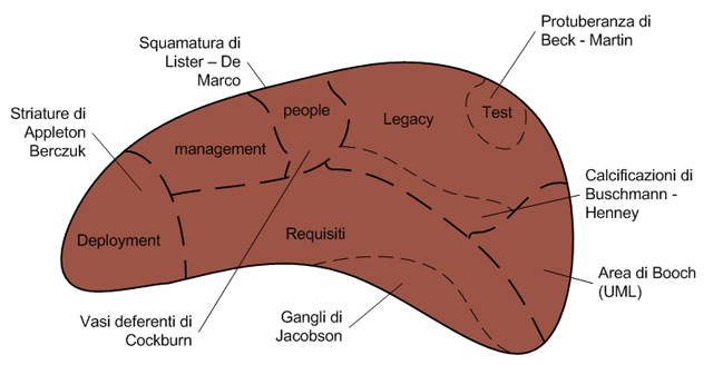 Figura 1 - Come stimare un progetto leggendo un fegato