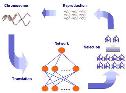 Figura 2 - Flusso generale di un algoritmo genetico