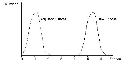 Figura 3 - Fitness.