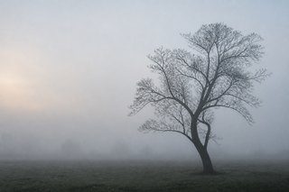 WEKA: un case-study per la classificazione di dati meteo con tecniche di Data Mining