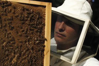 Il programmatore e le sue API