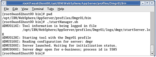Figura 29 - Avvio del deployment manager.