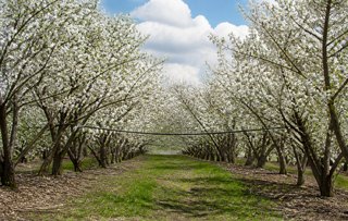 Realizziamo un Web Service con Spring-WS
