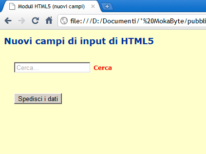 Figura 6 - Ecco come si presenta un campo di ricerca nel browser Chrome.