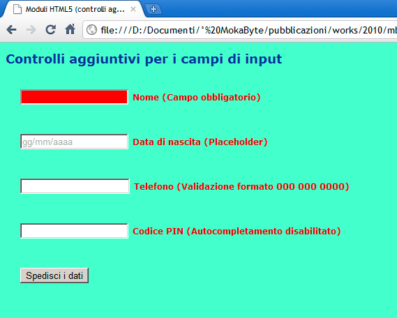 Figura 13 - Una schermata che riassume alcune delle possibilità offerte dai controlli aggiuntivi per i campi di input.
