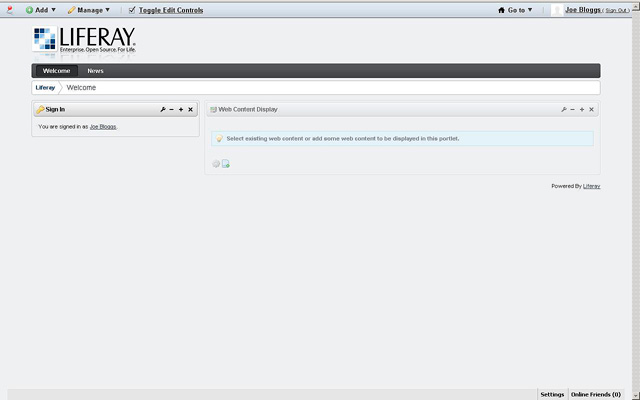 Figura 10 -  La Web Content Display.
