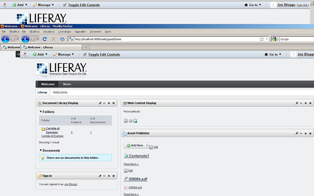 Figura 13 -  La Document Library Display.