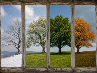 Sempre più spesso ho a che fare con il tema della gestione del cambiamento: cambiamento necessario in questo periodo di crisi, cambiamento sempre più sentito per cercare nuove possibilità  di business, cambiamento per creare nuove opportunità tcenologiche o anche, semplicemente, cambiamento per ridurre gli sprechi.