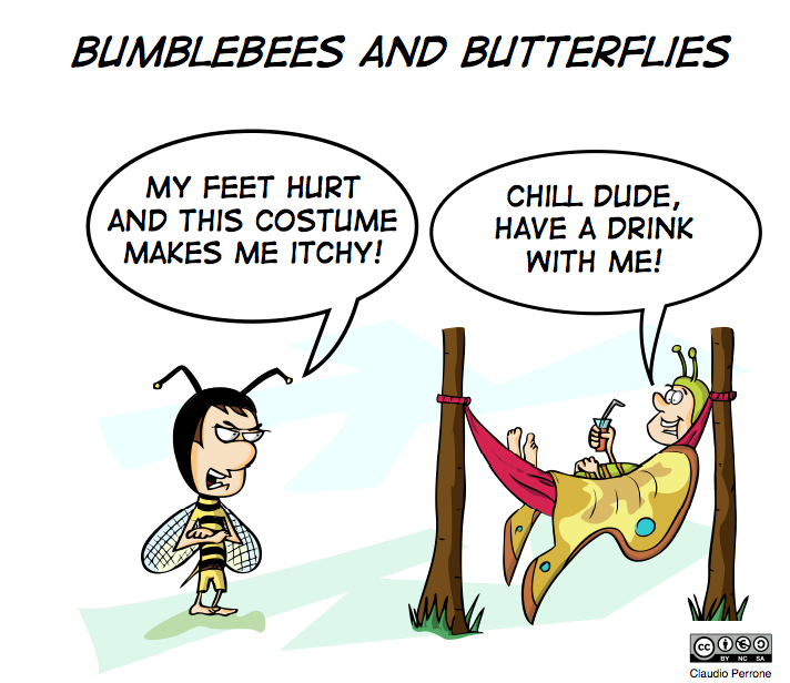 Figura 2 - Bumblebees e butterfly: diversi approcci alla conferenza.