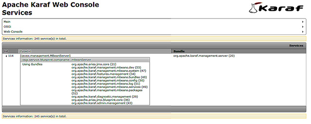 Figura 12 - La pagina della webconsole con le informazioni di dettaglio del servizio.