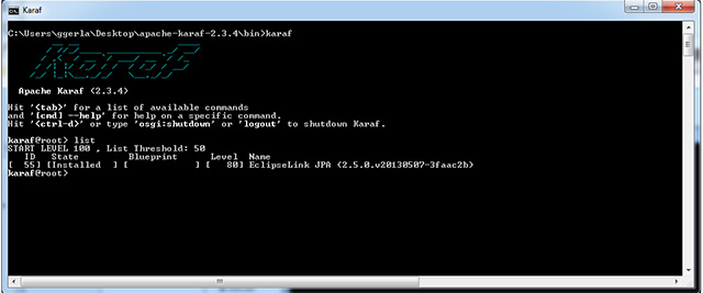 Figura 13 - Bundle in stato **Installed.**.
