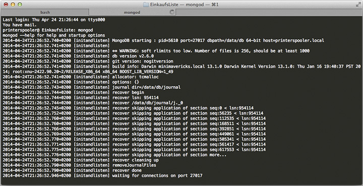 Figura 10 - MongoDB pronto a ricevere connessioni.