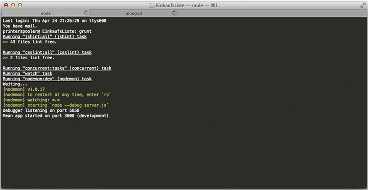 Figura 11 - Node up and ready.