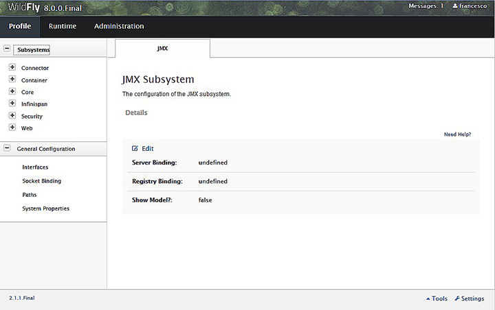 Figura 2 - Admin console.