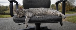 Lavorare stanca
