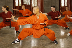 Disciplined Agile 2.0