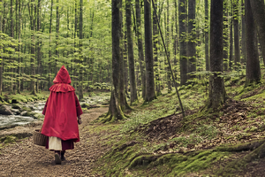 Storytelling: storie, narrazione, comunicazione