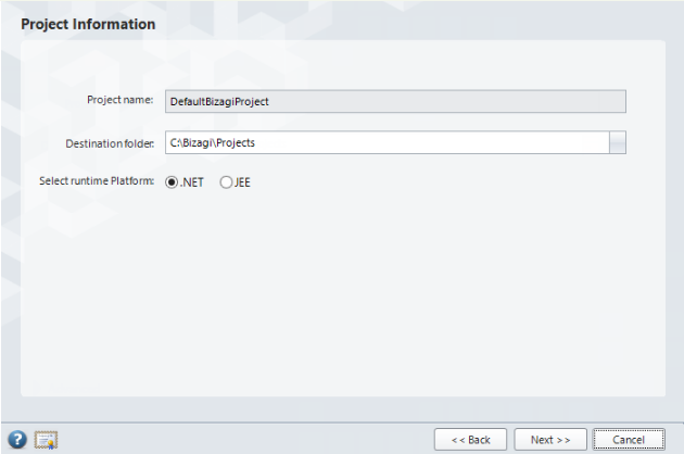 Figura 2 - Project Information.