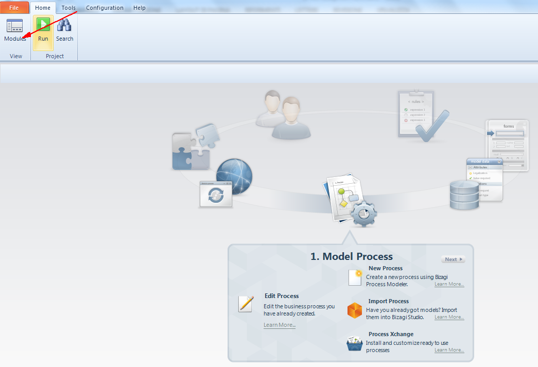 Figura 5 - Wizard View e Module View.