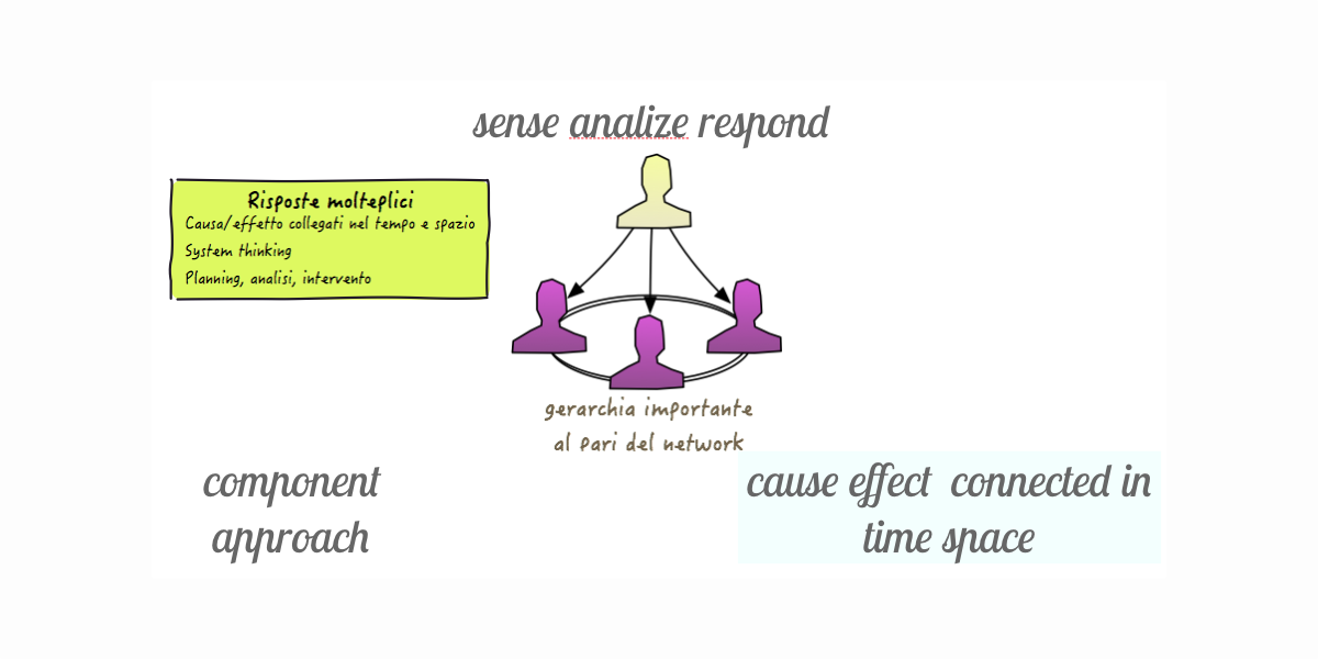 Figura 3 – Il quadrante complicato del Cynefin: il pattern comportamentale è quello in cui si misura, poi si analizza e infine si agisce.