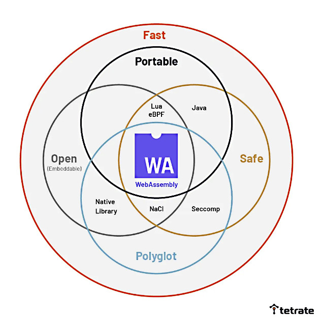 Figura 2 - WebAssembly è veloce, aperto, sicuro e in grado di dialogare con i più diffusi linguaggi